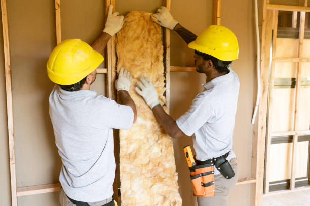 Best Energy-efficient Insulation  in Baldwin, MI