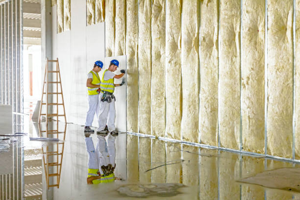 Best Crawl Space Insulation  in Baldwin, MI